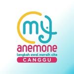 Anemone Canggu